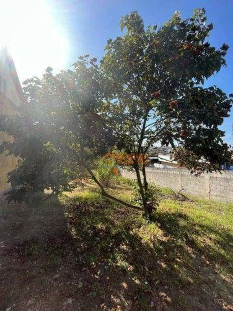 Terreno, 276 m² - Foto 4