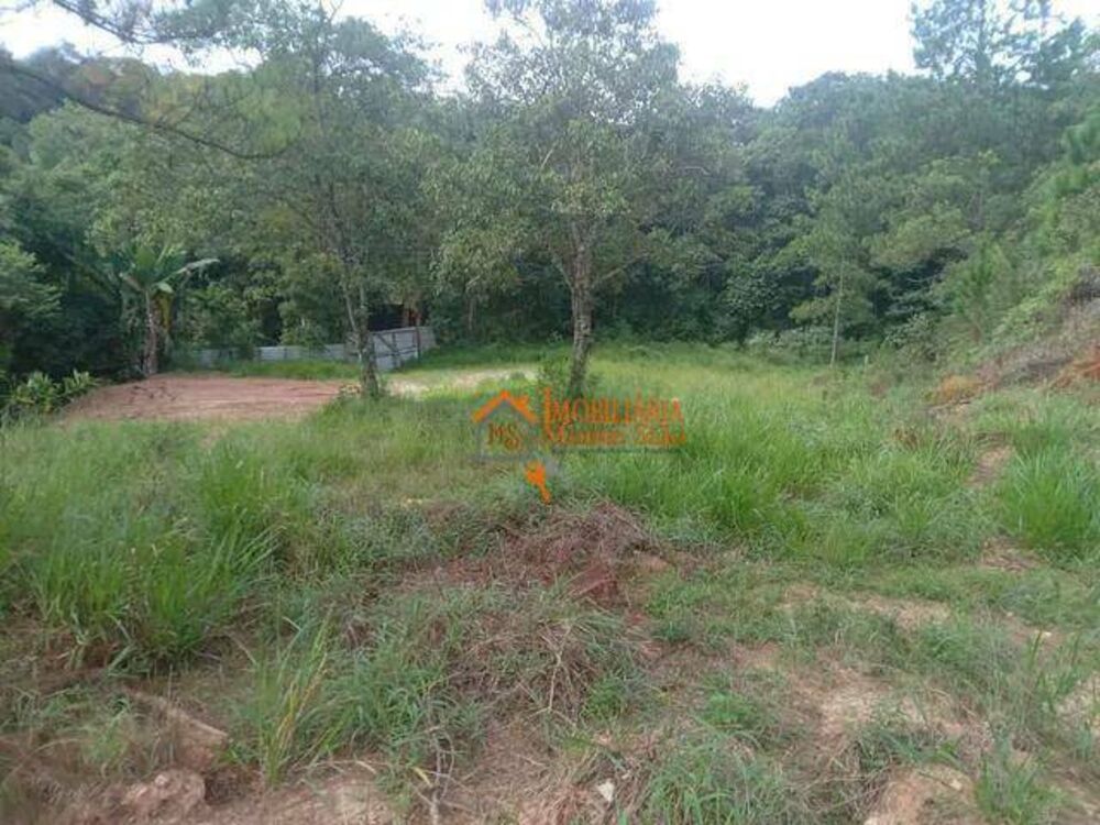 Terreno, 10000 m² - Foto 8