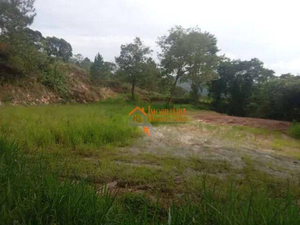 Terreno, 10000 m² - Foto 1