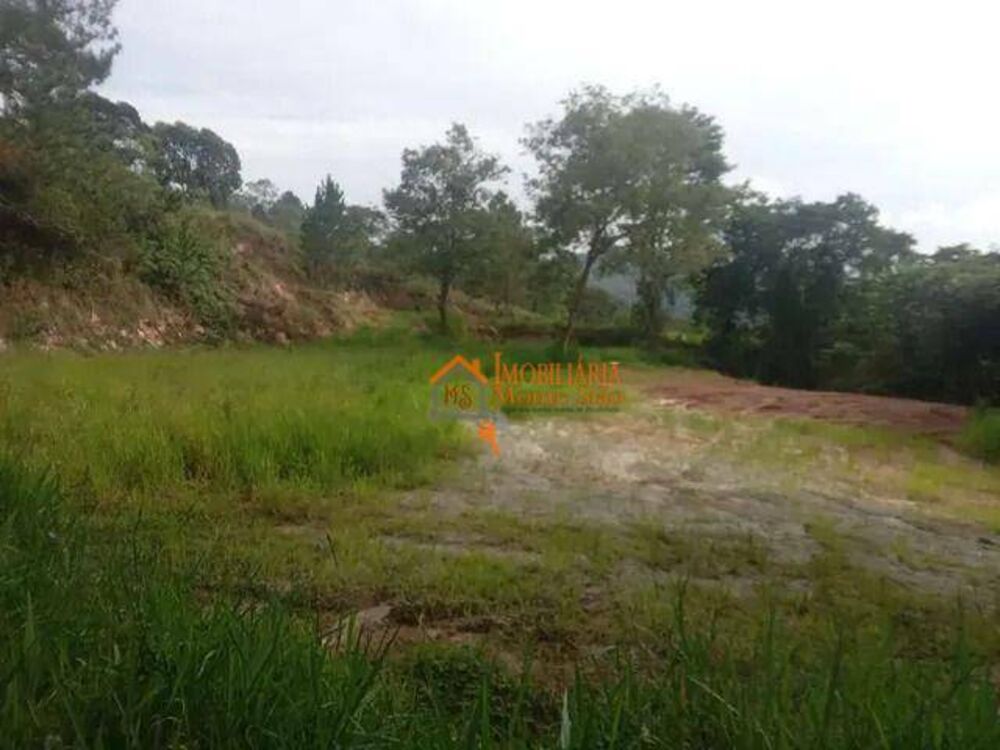 Terreno, 10000 m² - Foto 9