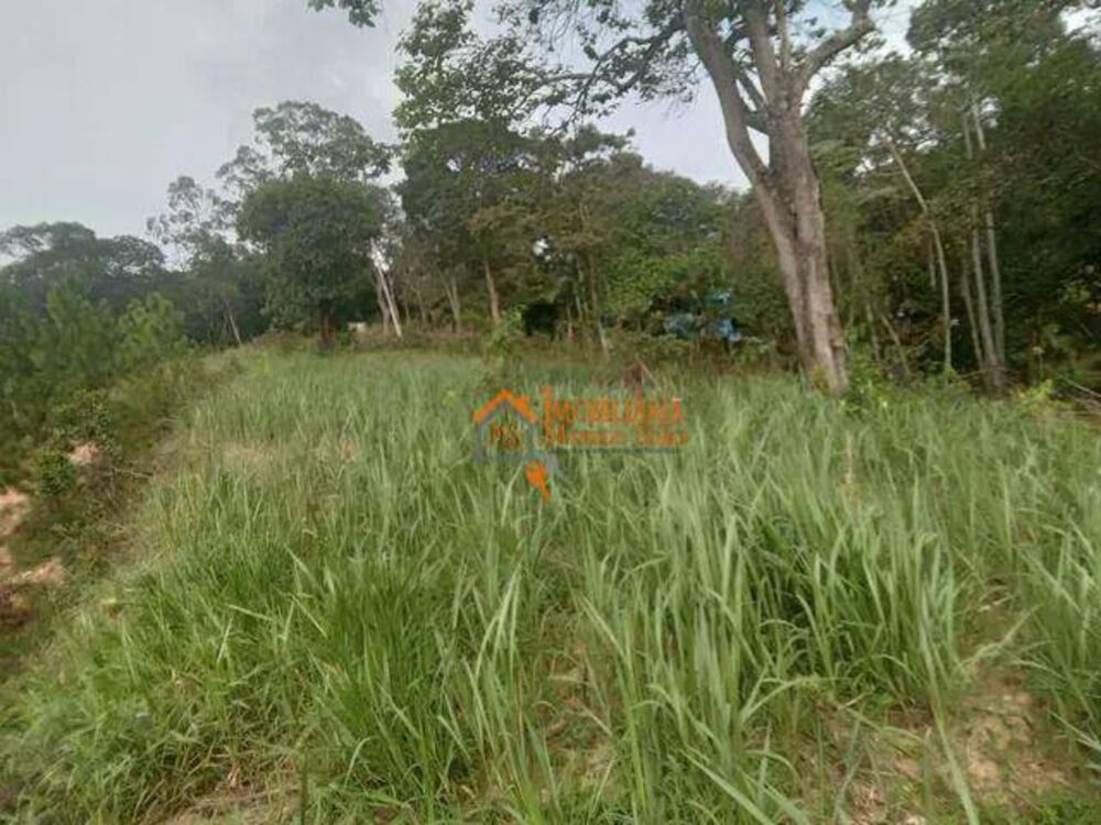 Terreno, 10000 m² - Foto 5