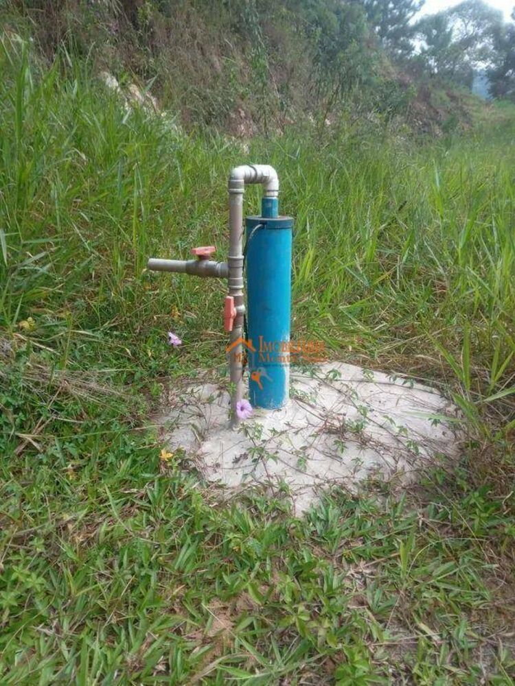 Terreno, 10000 m² - Foto 6