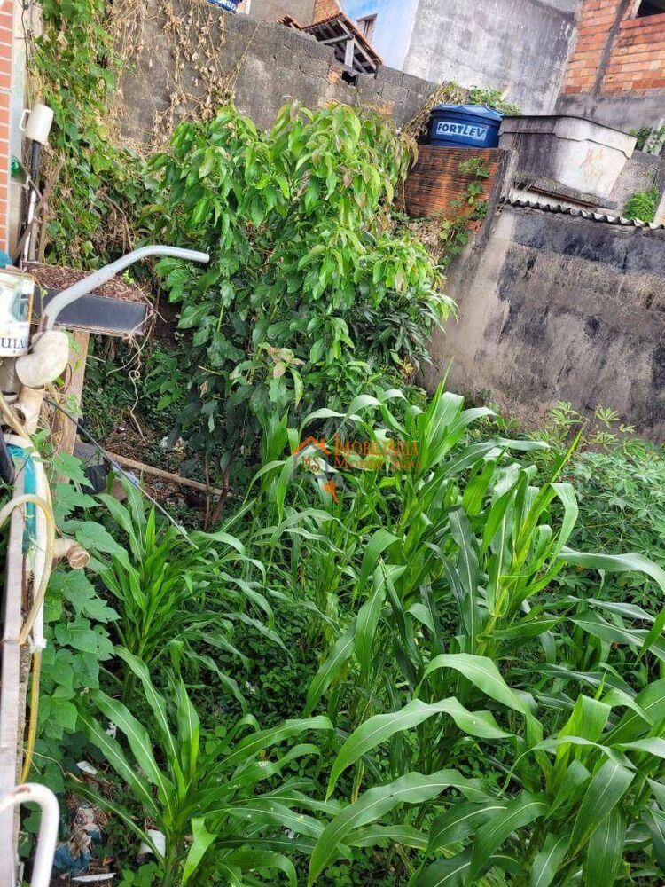 Terreno, 200 m² - Foto 13