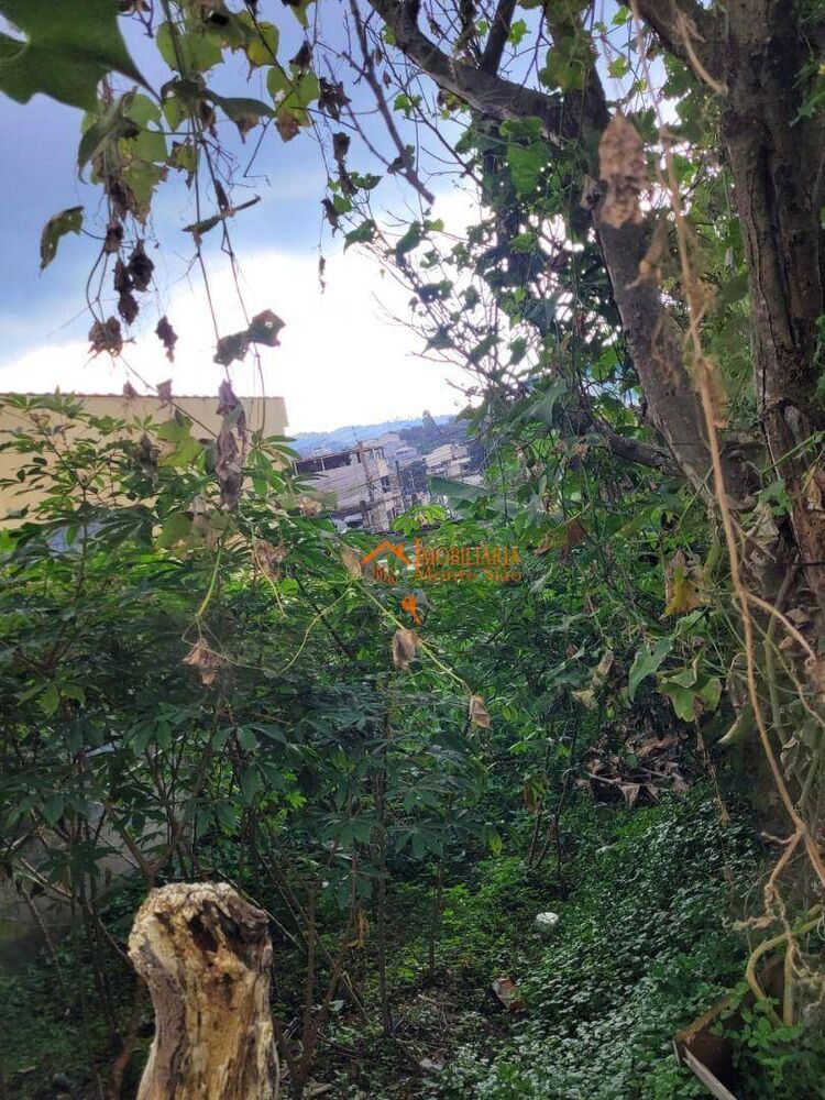 Terreno, 200 m² - Foto 9