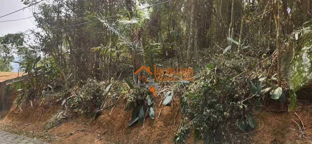 Terreno, 2 m² - Foto 13