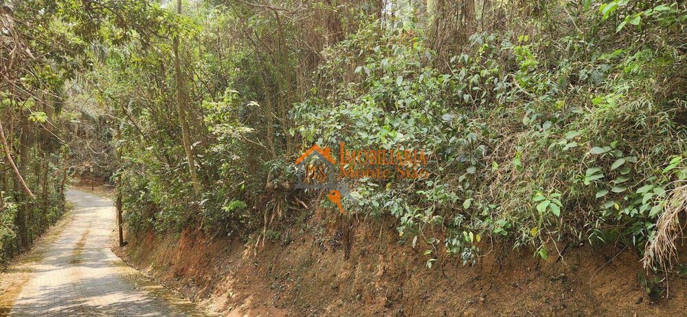 Terreno, 2 m² - Foto 1