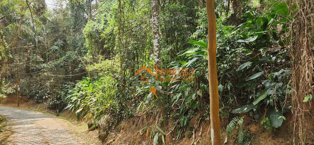 Terreno, 2 m² - Foto 4