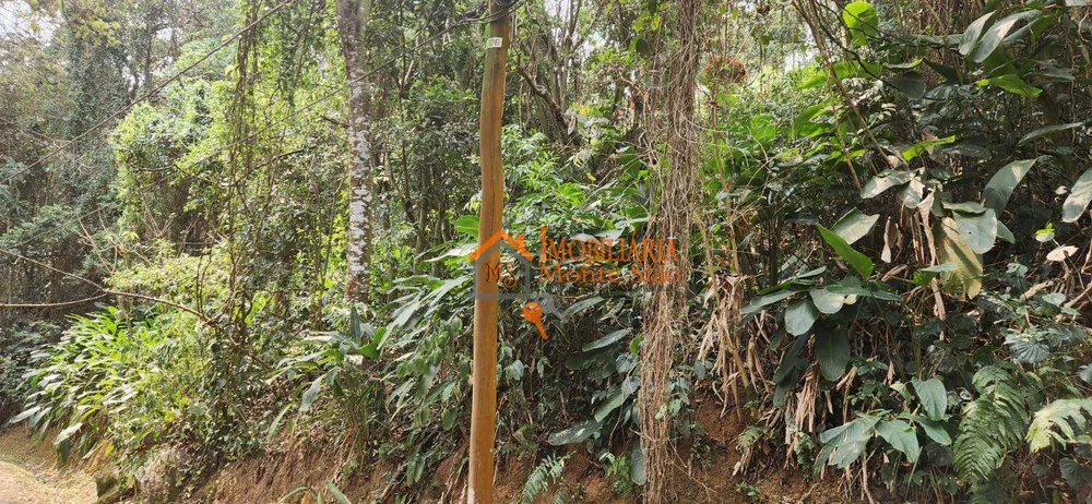 Terreno, 2 m² - Foto 2