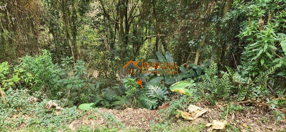 Terreno, 2 m² - Foto 7