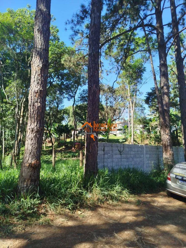 Terreno, 3068 m² - Foto 8