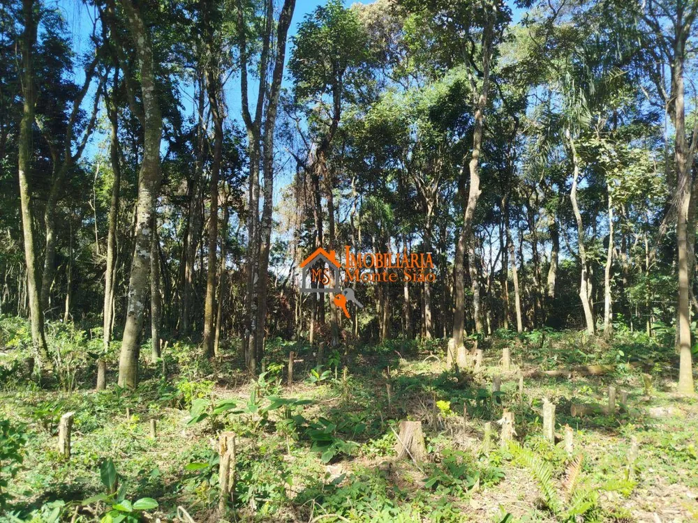 Terreno, 3068 m² - Foto 6