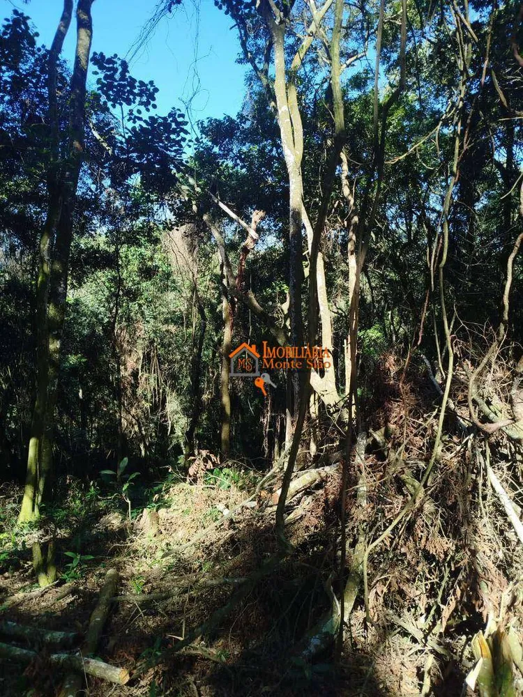 Terreno, 3068 m² - Foto 5