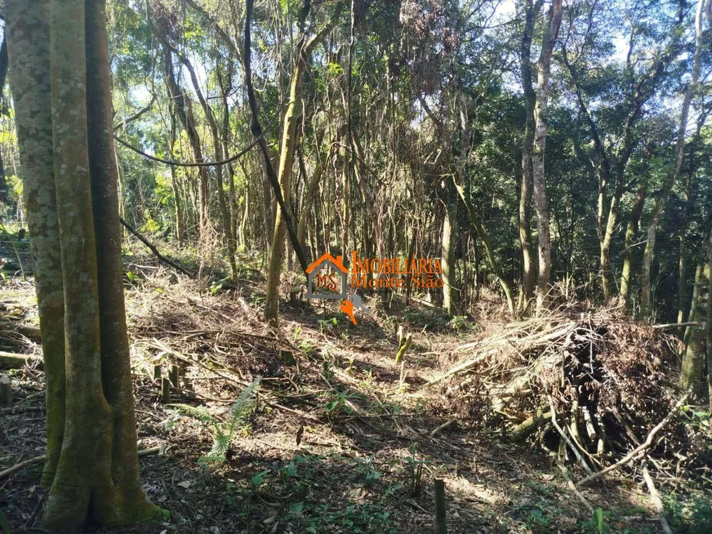 Terreno, 3068 m² - Foto 4