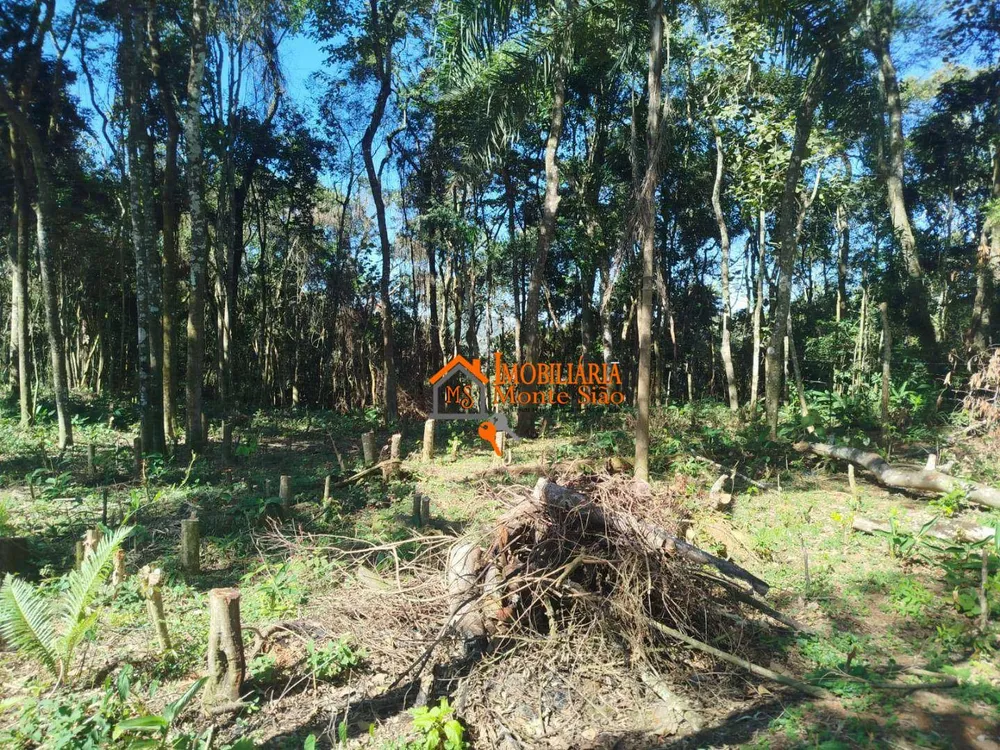 Terreno, 3068 m² - Foto 1