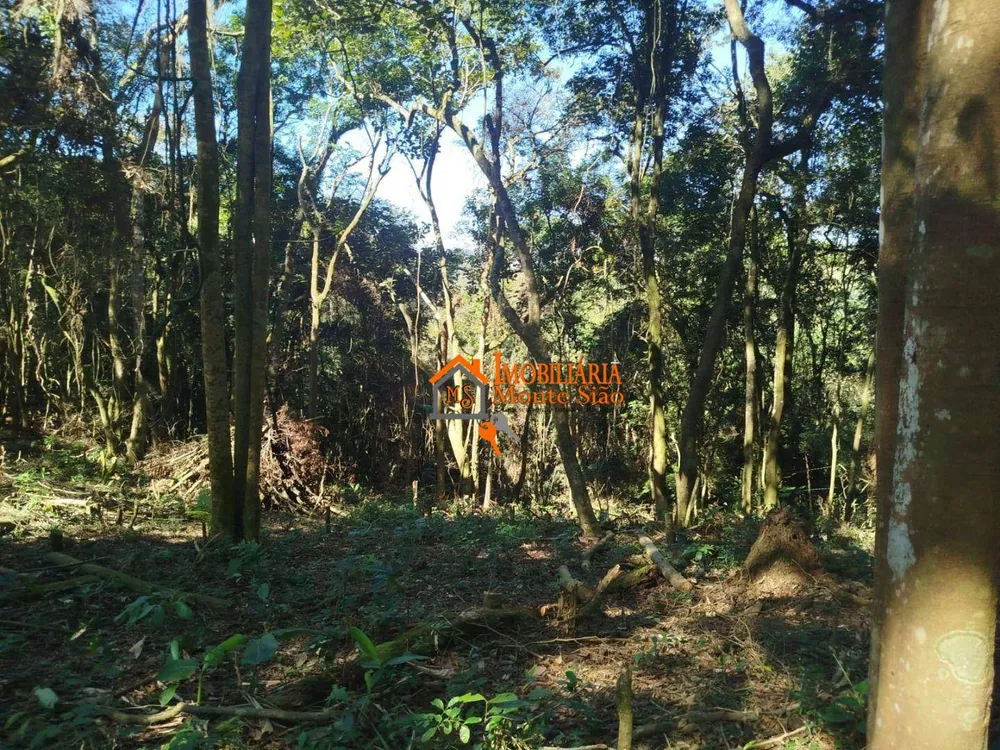 Terreno, 3068 m² - Foto 3