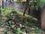Terreno, 680 m² - Foto 16