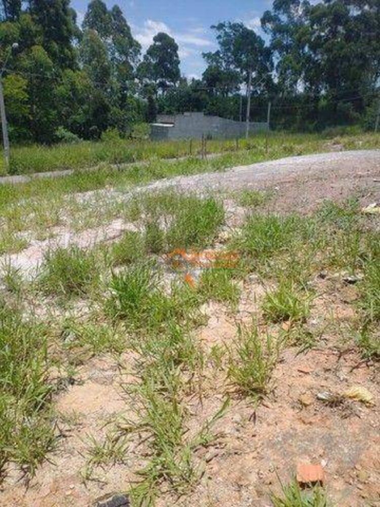 Terreno, 140 m² - Foto 6