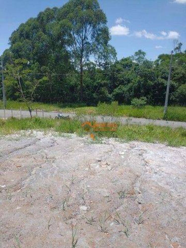 Terreno, 140 m² - Foto 4