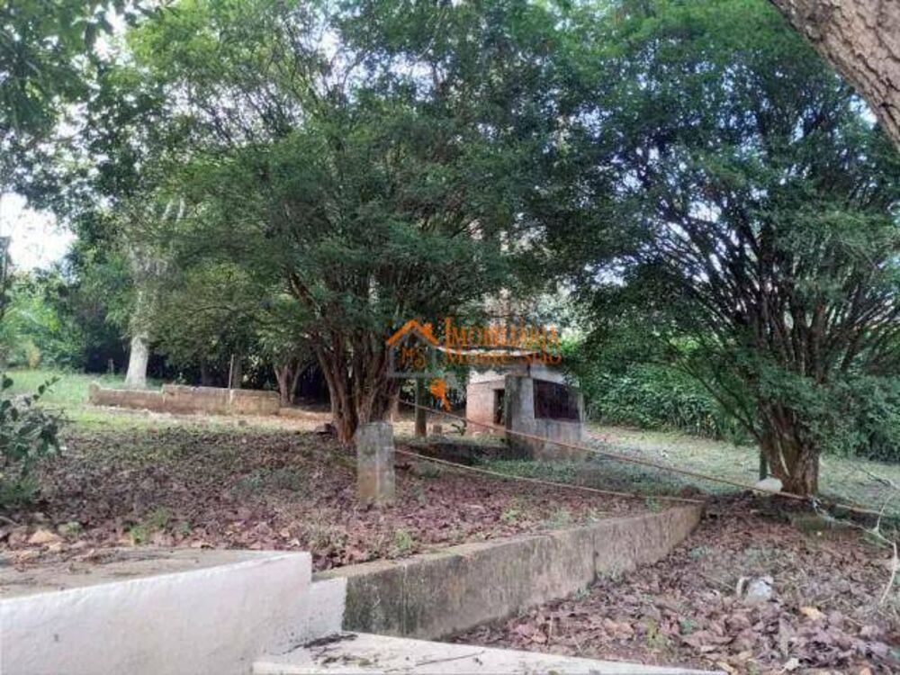 Sítio, 2 quartos, 4000 m² - Foto 9