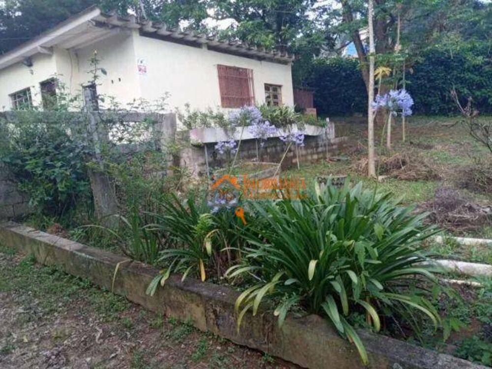 Sítio, 2 quartos, 4000 m² - Foto 8