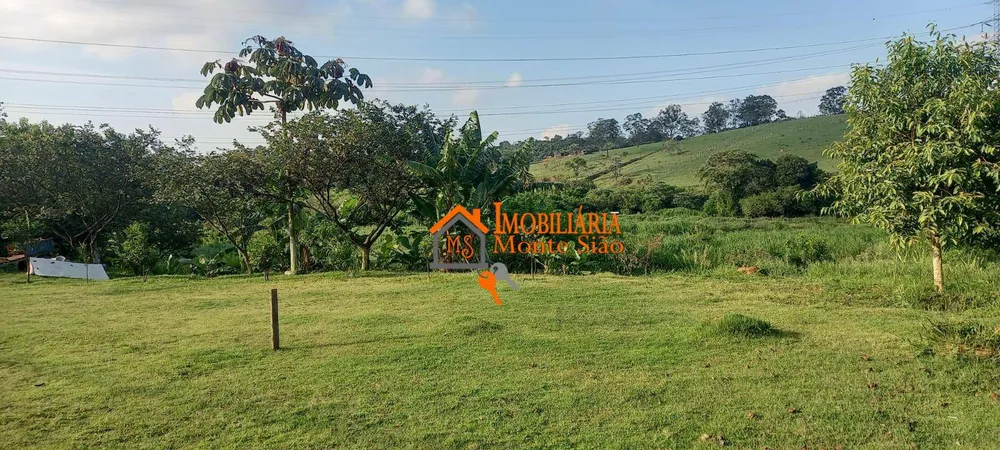 Terreno, 2 hectares - Foto 3