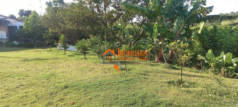Terreno, 2 hectares - Foto 4