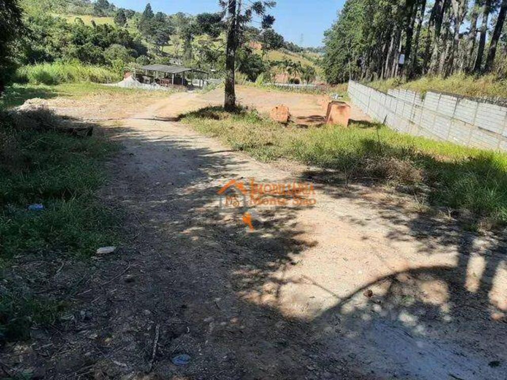 Terreno, 8652 m² - Foto 4