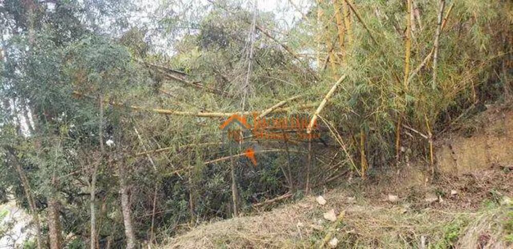 Terreno, 1434 m² - Foto 9