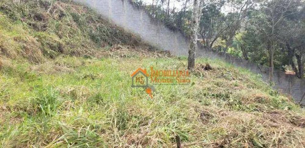 Terreno, 1434 m² - Foto 18