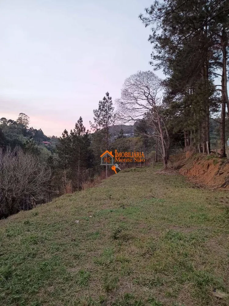 Terreno, 1000 m² - Foto 3