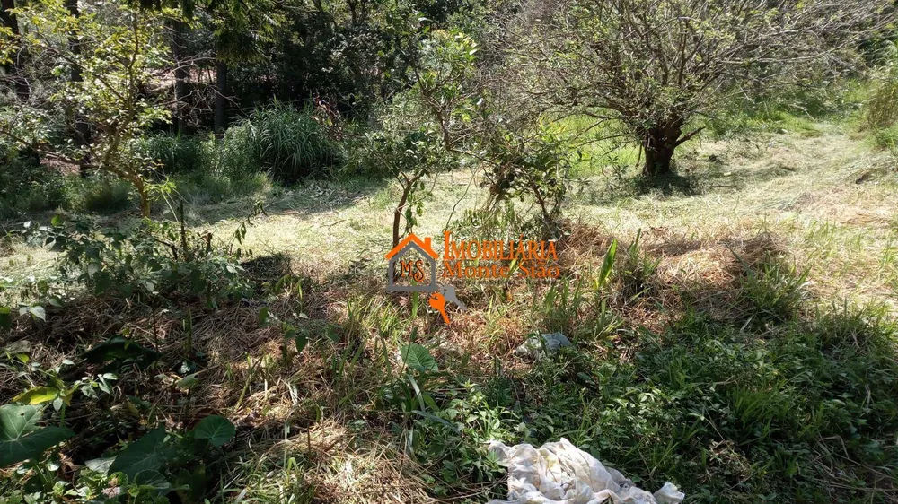 Terreno, 1000 m² - Foto 1