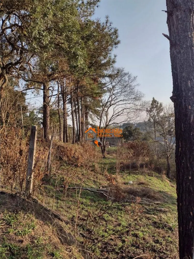 Terreno, 1000 m² - Foto 6