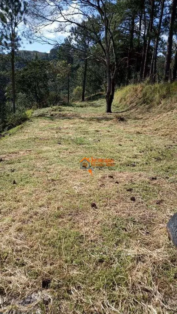 Terreno, 1000 m² - Foto 9