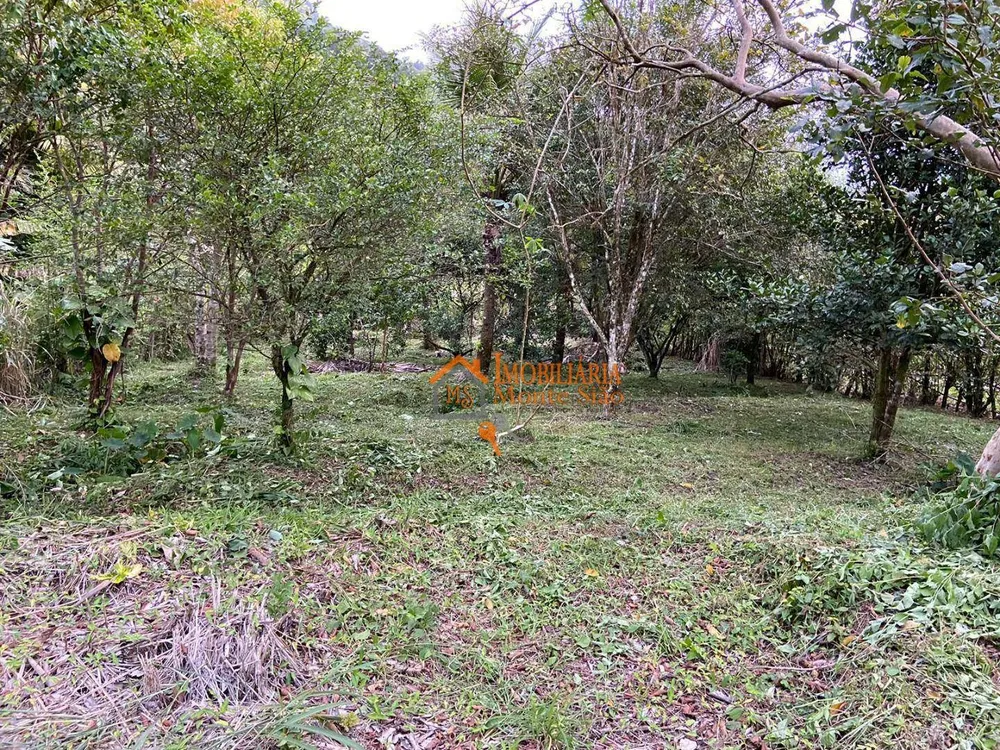 Sítio, 3 quartos, 2 hectares - Foto 11
