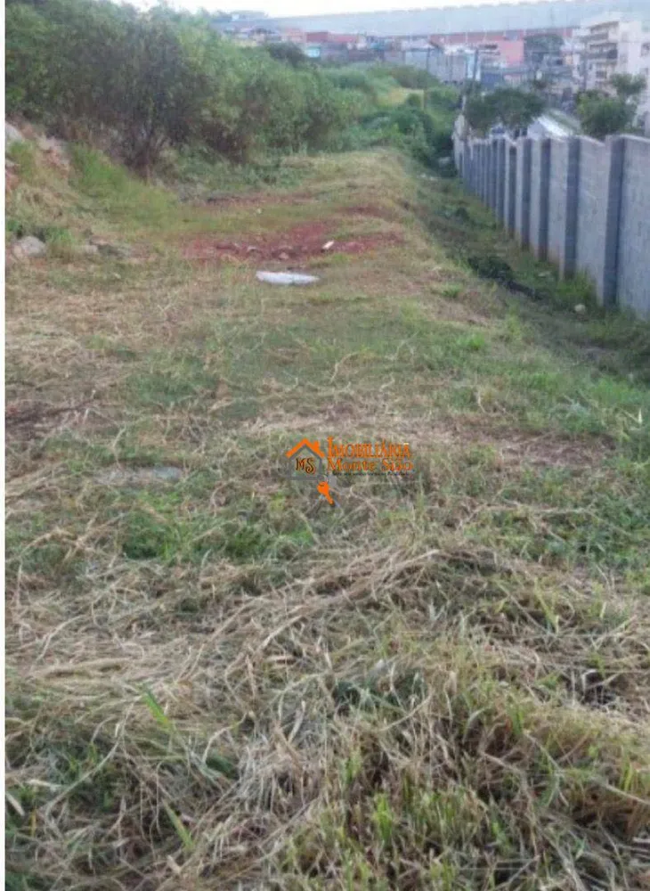 Terreno, 5 hectares - Foto 4