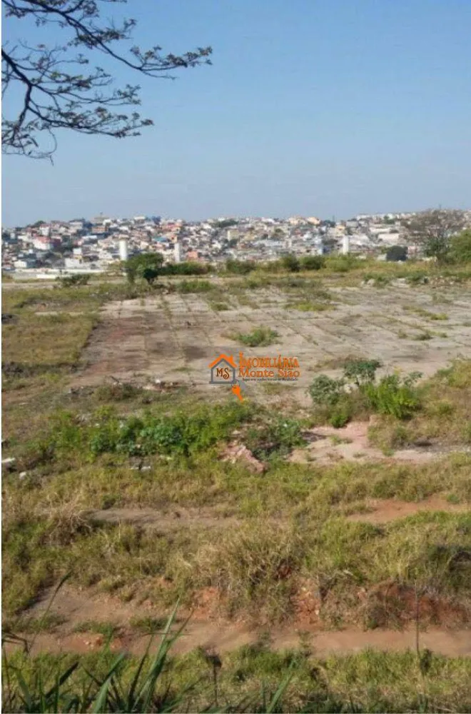 Terreno, 5 hectares - Foto 6