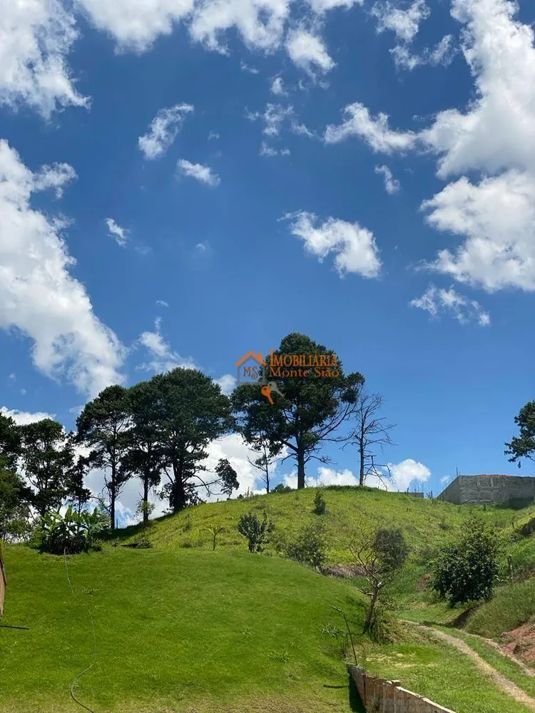Chácara, 3 quartos, 2 hectares - Foto 7