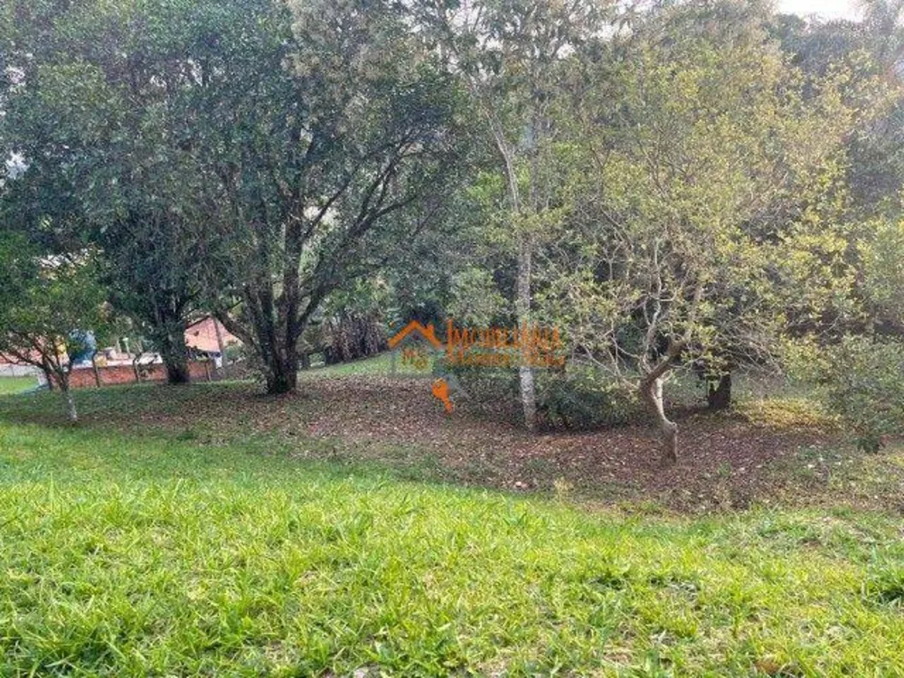 Chácara, 2 quartos, 3060 m² - Foto 4