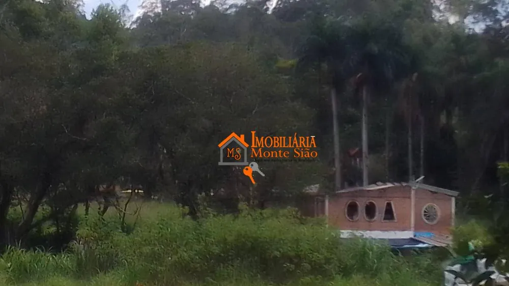 Terreno, 4 hectares - Foto 2