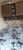 Apartamento, 2 quartos, 52 m² - Foto 6
