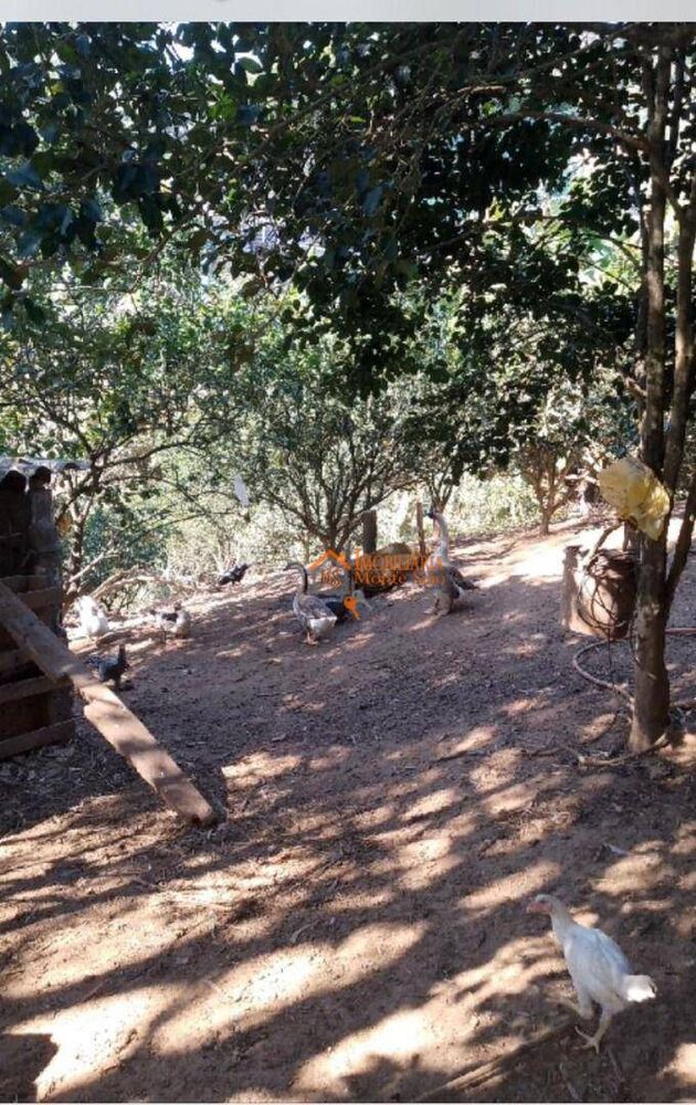 Chácara à venda com 1 quarto, 6500M2 - Foto 3