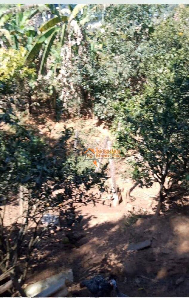 Chácara à venda com 1 quarto, 6500M2 - Foto 6