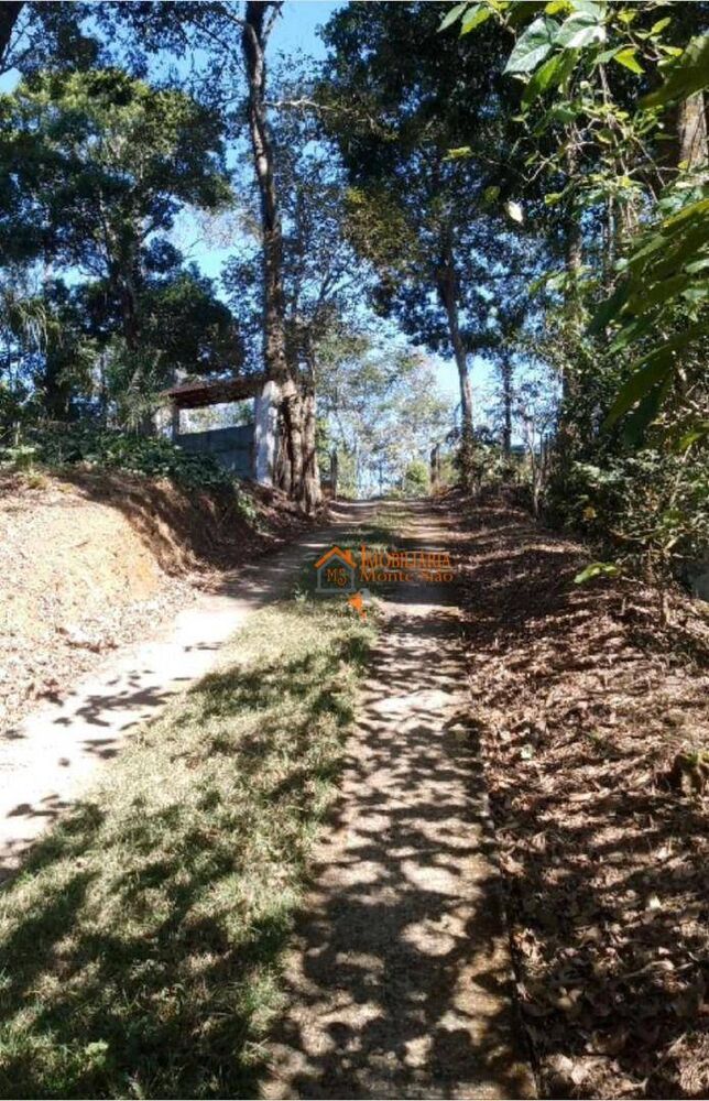 Chácara à venda com 1 quarto, 6500M2 - Foto 11