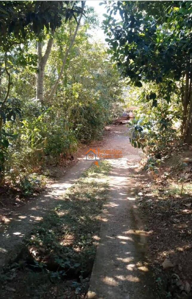 Chácara à venda com 1 quarto, 6500M2 - Foto 12