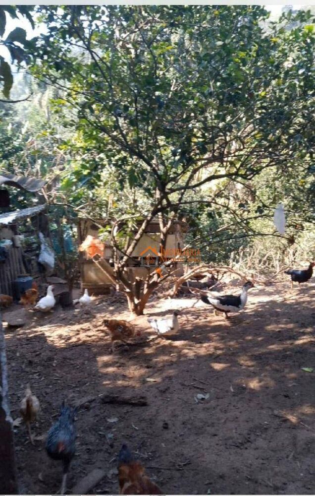Chácara à venda com 1 quarto, 6500M2 - Foto 5