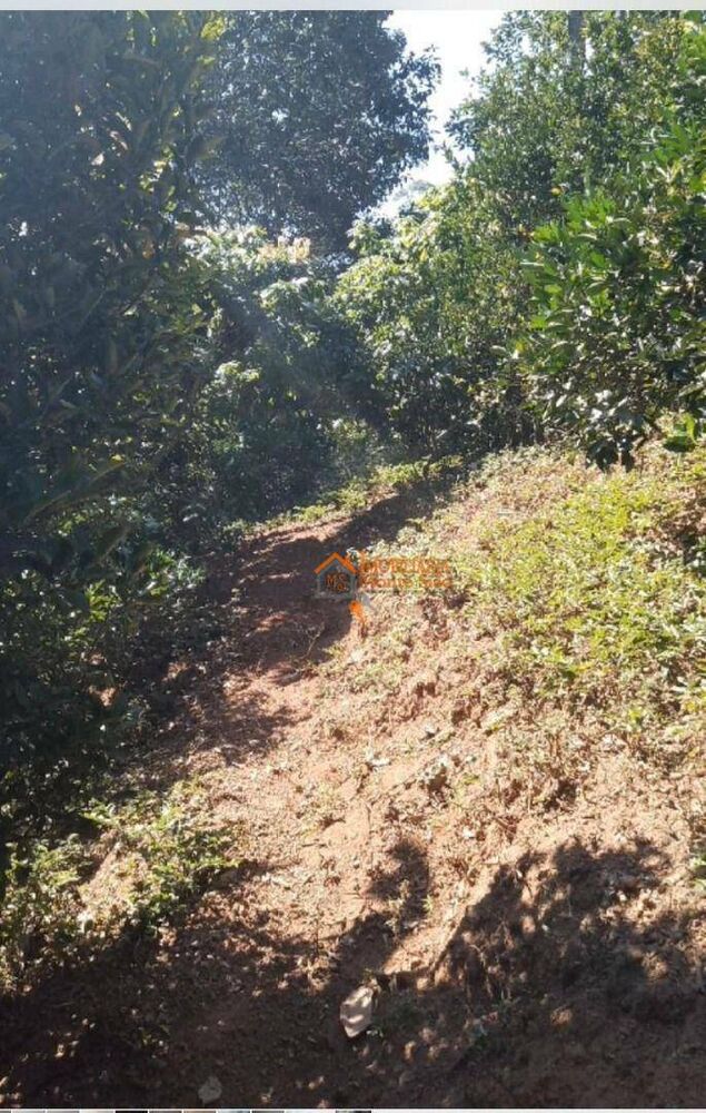 Chácara à venda com 1 quarto, 6500M2 - Foto 7