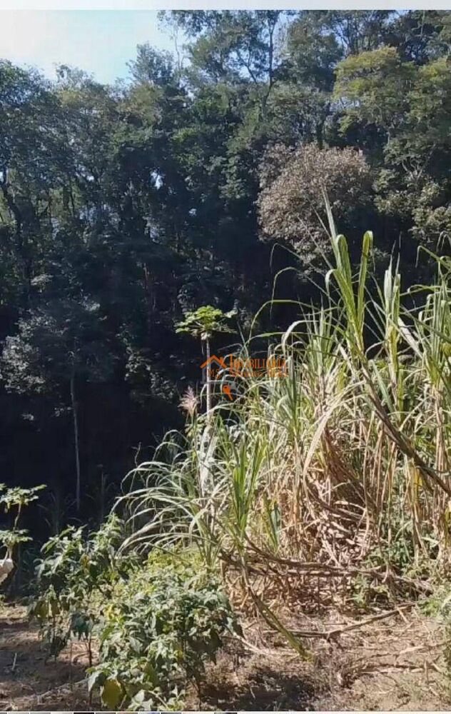 Chácara à venda com 1 quarto, 6500M2 - Foto 8