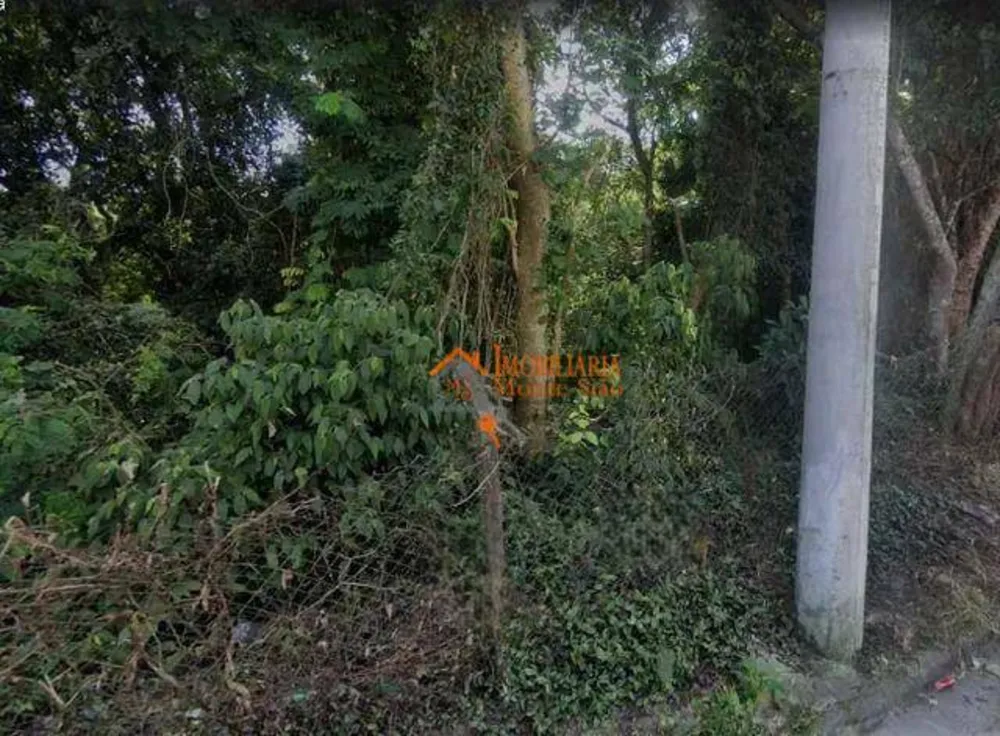 Terreno, 9 hectares - Foto 6