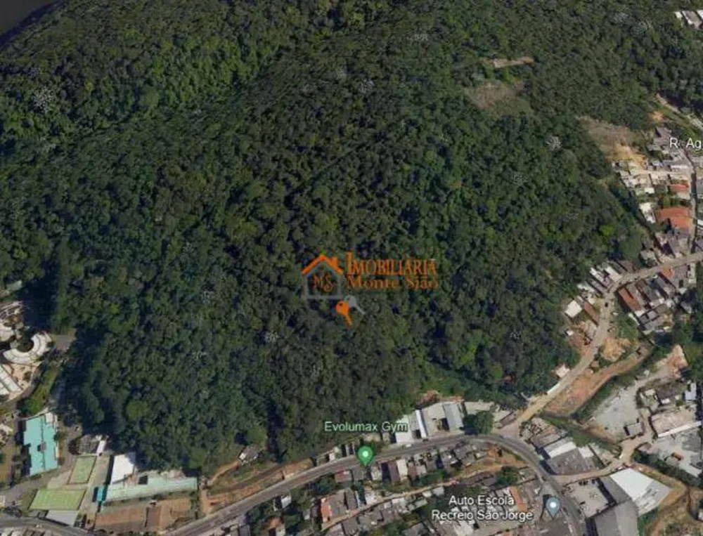 Terreno, 9 hectares - Foto 1