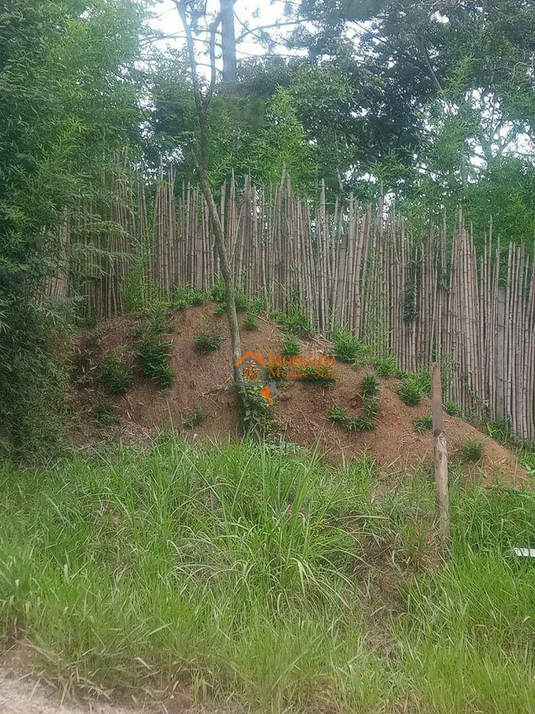 Terreno, 4000 m² - Foto 7